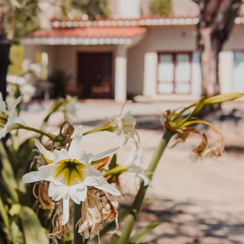 Foto portada-Cafayate